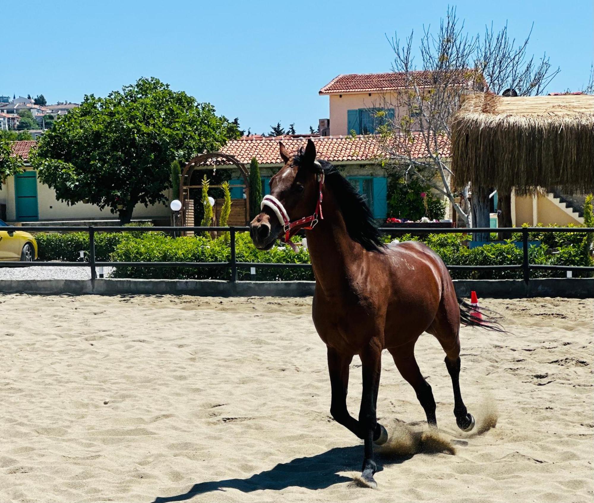 Ride And Stay Çeşme Buitenkant foto